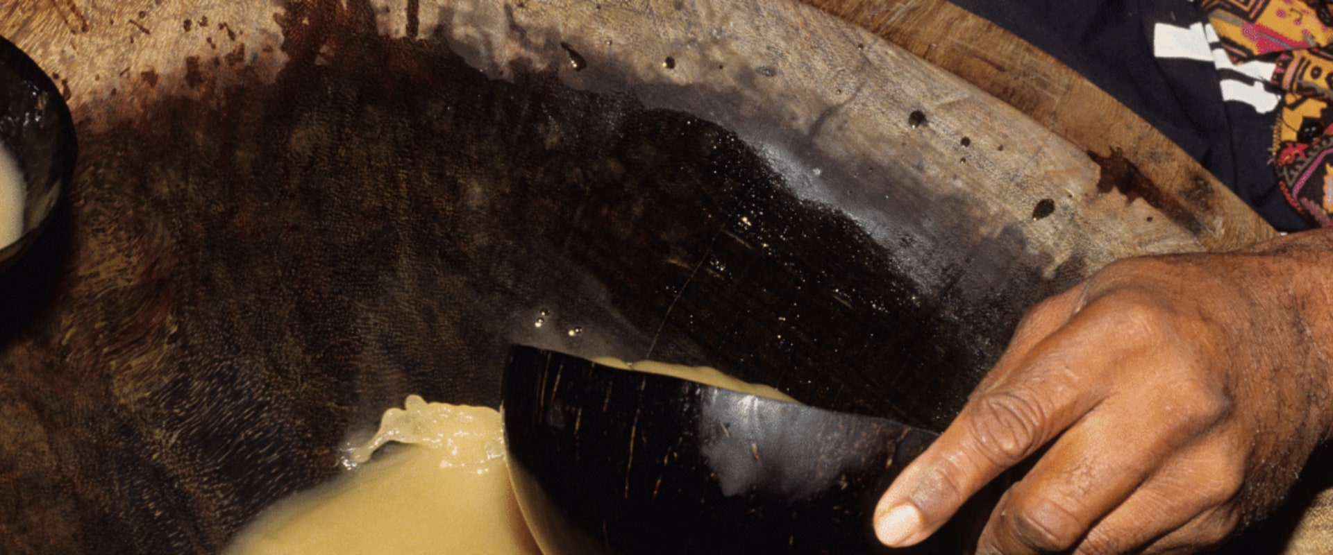 The Traditional Method of Consuming Hawaiian Kava Root