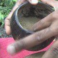 The Art of Preparing Hawaiian Kava Root for Consumption