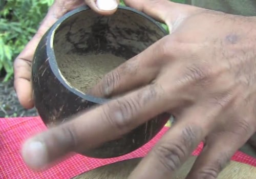 The Art of Preparing Hawaiian Kava Root for Consumption